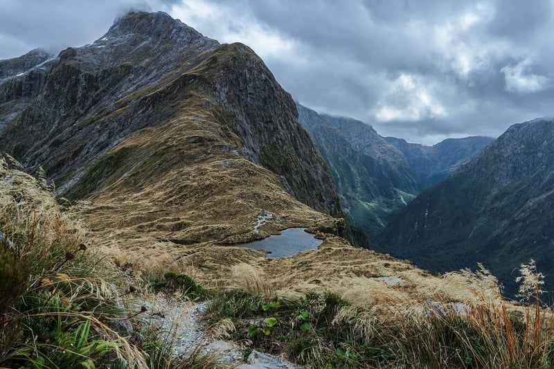 Wilderness Journey