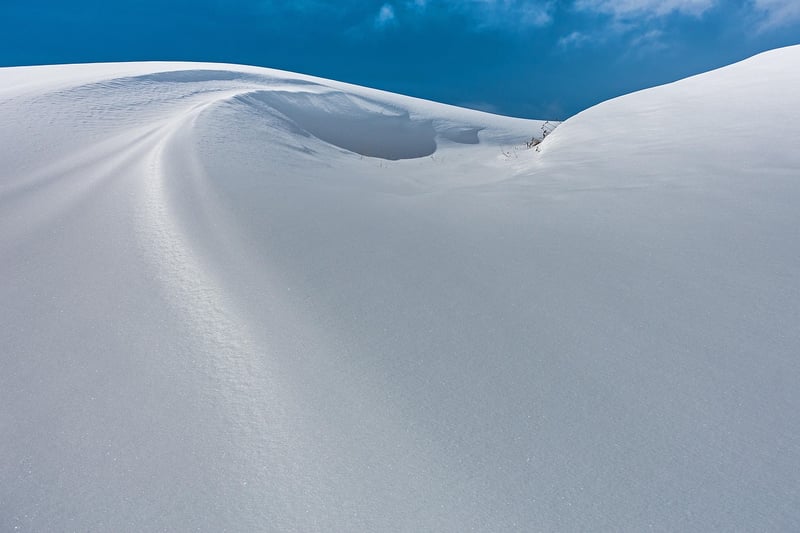 Ski Resort